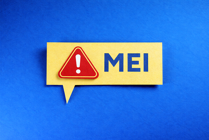 A Vulnerabilidade do Portal do Empreendedor e os Riscos para o MEI